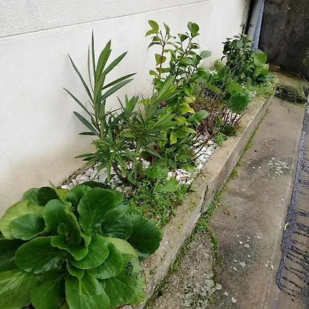 La Belle Vallee Maison Independante 80m2 A 12 Min Du Puy Du Fou Semesterbostad Treize-Vents